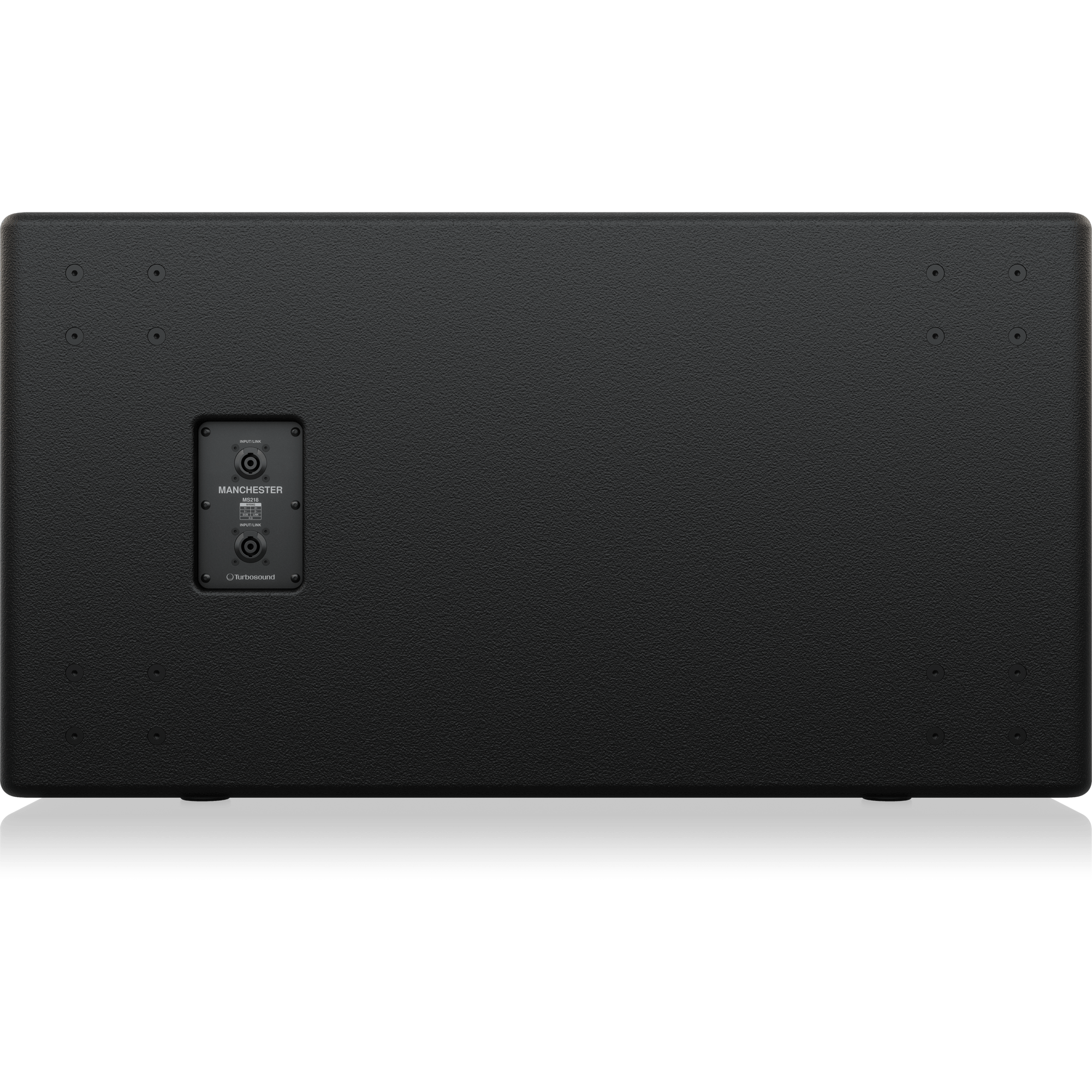 Turbosound Manchester MS218 по цене 357 000 ₽