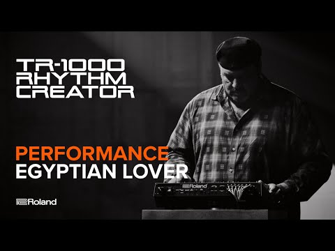 Roland TR-1000 по цене 380 750.00 ₽