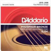 D'Addario EJ24