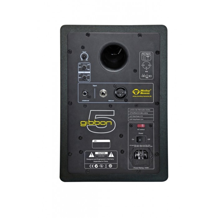Gibbon 5 2025