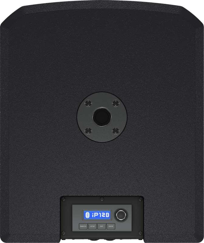 Turbosound iNSPIRE iP12B