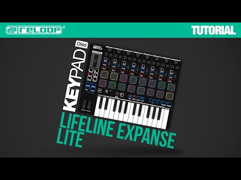 Reloop Keypad Pro по цене 37 000 ₽
