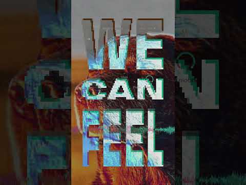 Here’s how to feel | Native Instruments