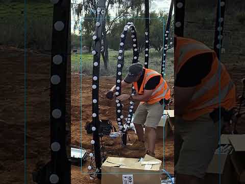 D'Addario NB1253 - Set Nickel Bronze Acoustic, Light, 12-53 по цене 1 670.00 ₽