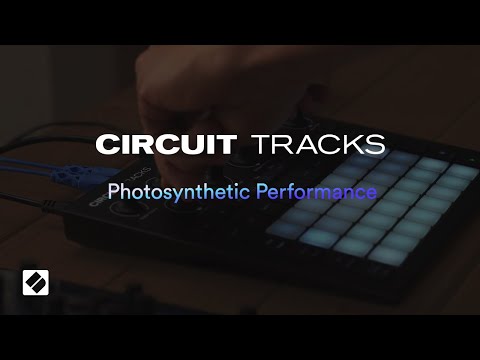 Novation Circuit Tracks по цене 54 684 ₽