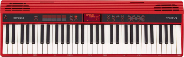 Roland GO-61K по цене 54 990 ₽