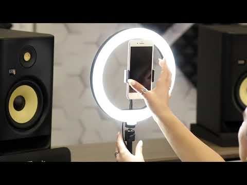 D'Addario NB1253 - Set Nickel Bronze Acoustic, Light, 12-53 по цене 1 670.00 ₽