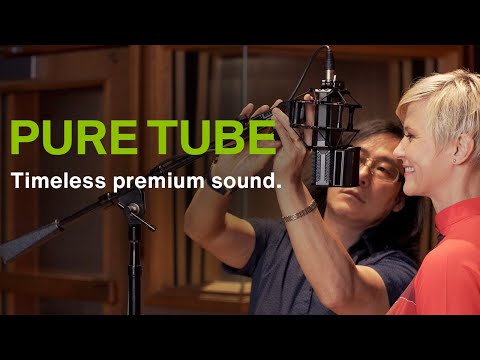 Lewitt Pure Tube по цене 124 500 ₽