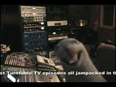 sE Electronics RNT по цене 206&nbsp;620 ₽