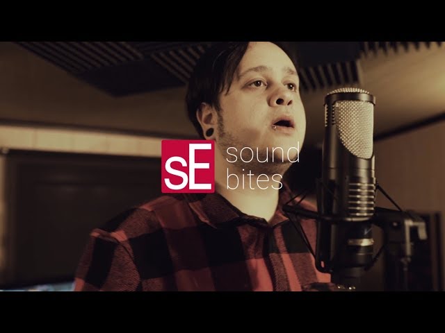 sE Electronics RNT по цене 206&nbsp;620 ₽