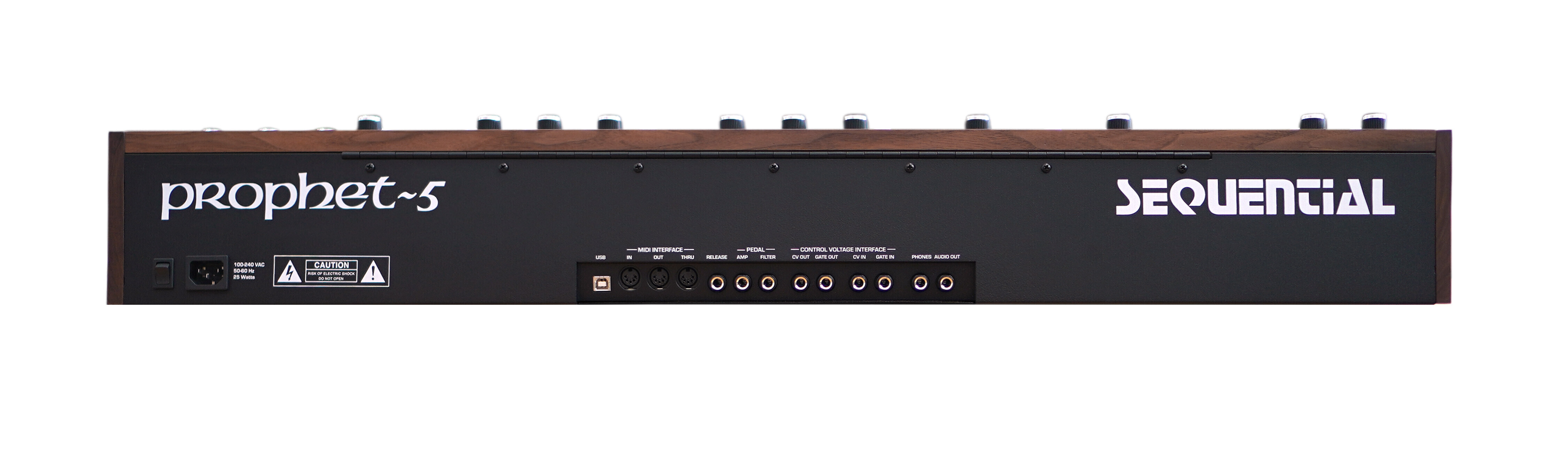 dave_smith_instruments_sequential_prophet_5_keyboard_3.jpg