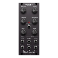 Dave Smith DSM03 Feedback Module по цене 26 880 ₽