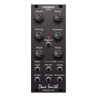 Dave Smith DSM03 Feedback Module по цене 34 000 ₽