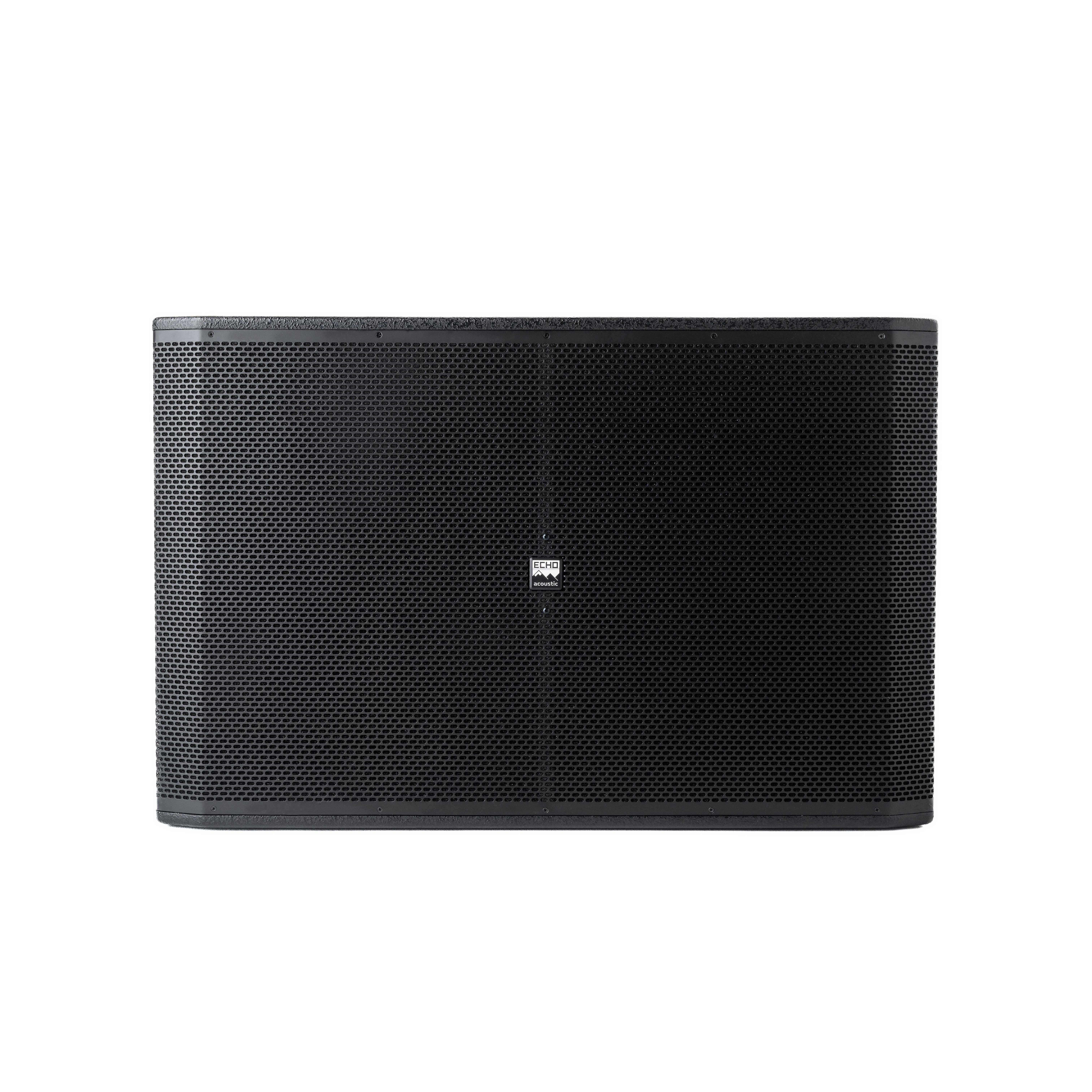 Echo Acoustic EA218SP по цене 250 000 ₽