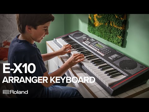 Roland E-X10 по цене 36 150 ₽