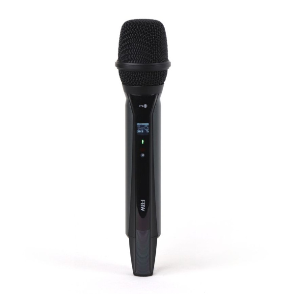 FBW P1H по цене 13 000 ₽