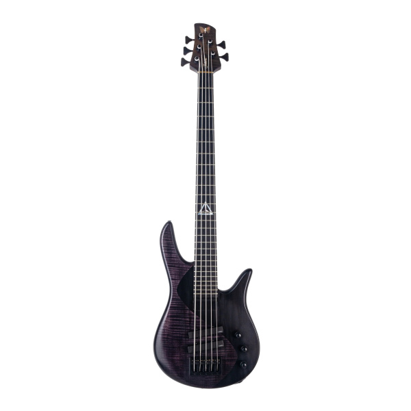 Spector Legend 5 Standard Black Stain по цене 74 900 ₽