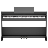 Roland RP107-BKX по цене 113 230.00 ₽