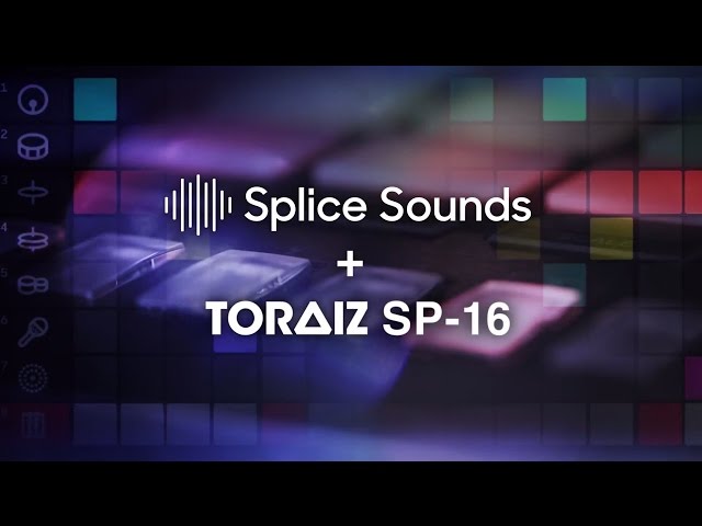 Universal Audio SP-1 по цене 63 850 ₽