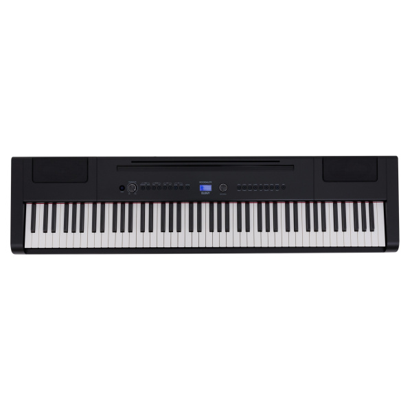 Rockdale Elegy Black по цене 34 900 ₽
