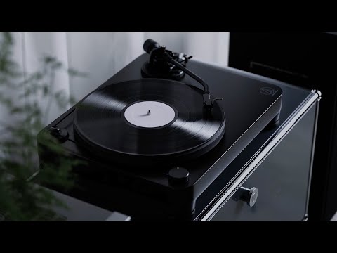 sE Electronics RNT по цене 206&nbsp;620 ₽