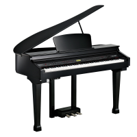 Kurzweil KAG100 EP по цене 251 450 ₽