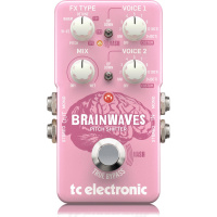 TC Electronic Brainwaves Pitch Shifter по цене 14 390 ₽