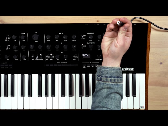 Korg Prologue 16 по цене 184 800 ₽