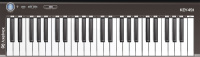 Axelvox KEY49j Black по цене 8 500 ₽
