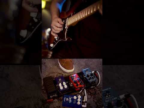 TC Electronic Infinite Sample Sustainer по цене 17 850 ₽