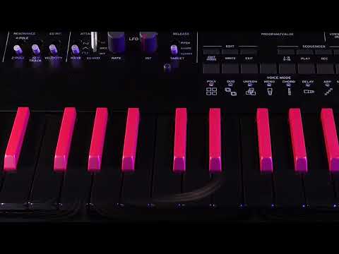 KORG Minilogue Bass по цене 94 100 ₽