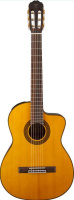 Takamine GC5CE NAT по цене 68 300 ₽