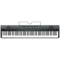 Korg L1 Liano MG