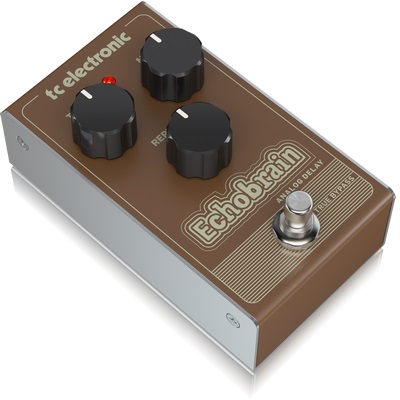 TC Electronic ECHOBRAIN ANALOG DELAY по цене 7 250 ₽