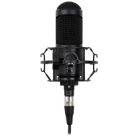 Radiotehnika MCD-01 по цене 8 490 ₽