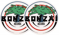 Slipmat-Factory Bonzai (пара)