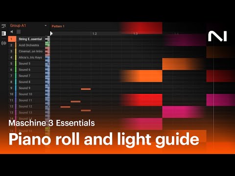 D'Addario NB1253 - Set Nickel Bronze Acoustic, Light, 12-53 по цене 1 670.00 ₽