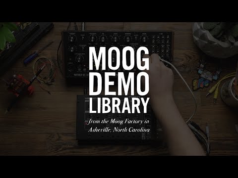 Moog Werkstatt-01 and CV Expander по цене 16 400 ₽