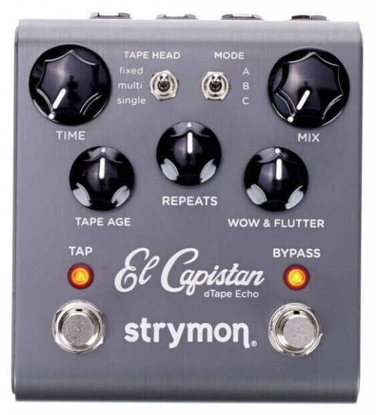 Strymon El Capistan dTape Delay по цене 39 600 ₽