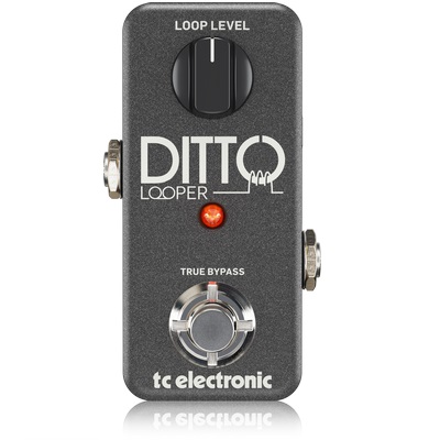TC Electronic DITTO LOOPER по цене 14 090 ₽