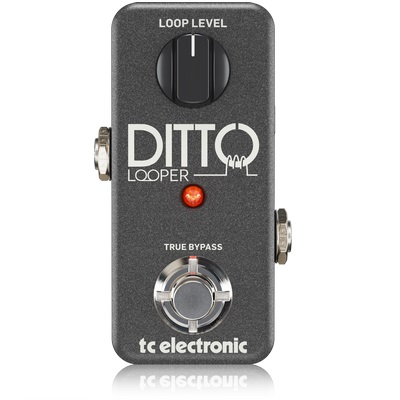 TC Electronic DITTO LOOPER по цене 14 430 ₽