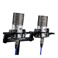 Aston Microphones Origin Stereo Pair по цене 66&nbsp;210 ₽
