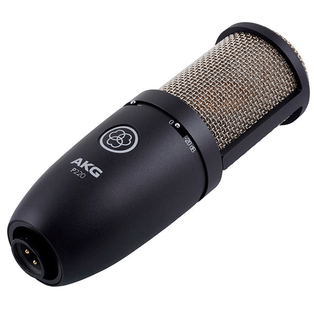 AKG P220 по цене 34 788 ₽