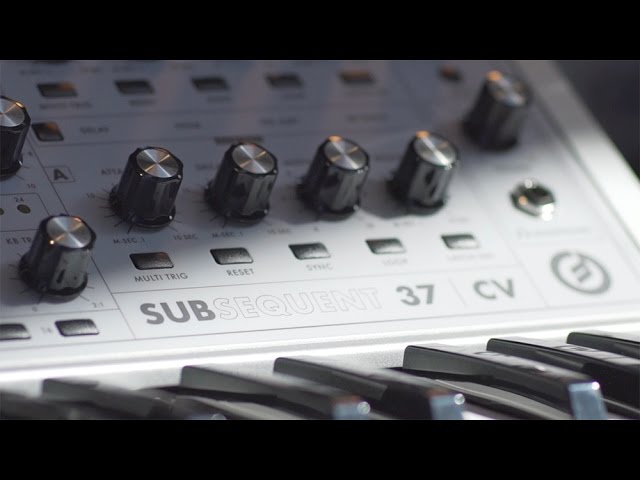 Moog Subsequent 37 по цене 226 380 ₽