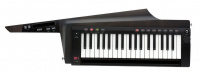 Korg RK100S2-BK