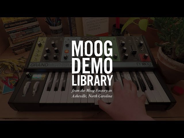 Moog Grandmother по цене 144 900 ₽