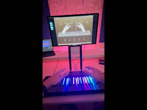 D'Addario NB1253 - Set Nickel Bronze Acoustic, Light, 12-53 по цене 1 670.00 ₽