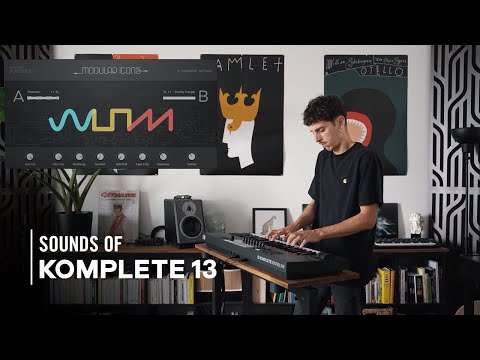 Native Instruments Komplete 13 Ultimate Collectors Edition по цене 203 400 ₽