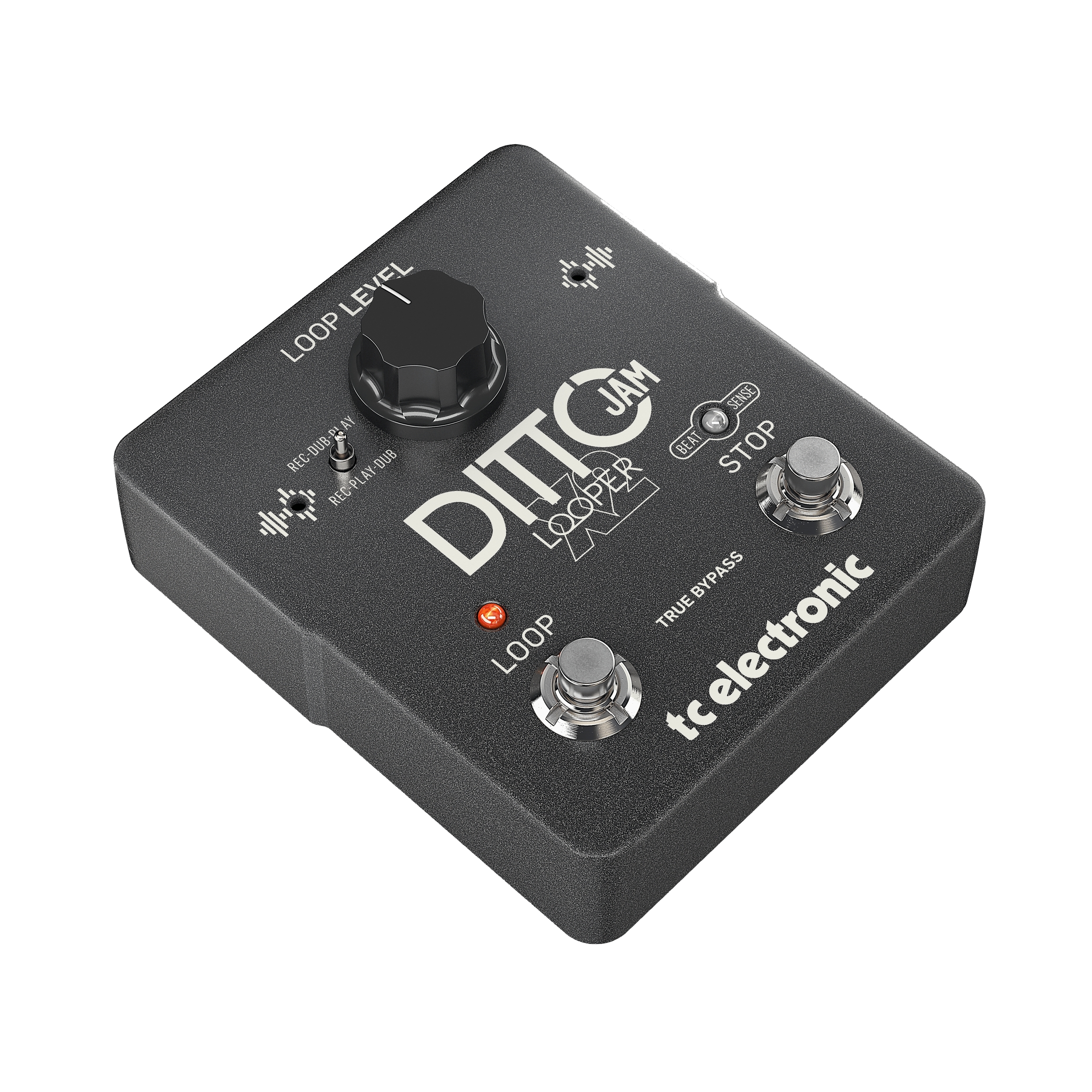 TC Electronic DITTO JAM X2 LOOPER по цене 29 750 ₽