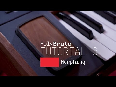 Arturia PolyBrute Noir по цене 365 000 ₽